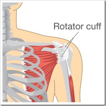 Shoulder Pain Greenville SC Rotator Cuff Injury
